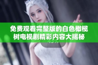 免费观看完整版的白色橄榄树电视剧精彩内容大揭秘