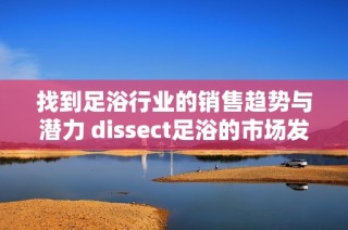 找到足浴行业的销售趋势与潜力 dissect足浴的市场发展是否盈利