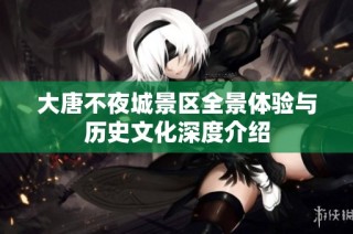大唐不夜城景区全景体验与历史文化深度介绍