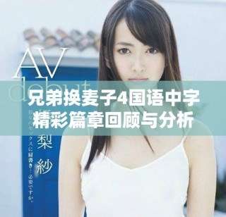 兄弟换麦子4国语中字精彩篇章回顾与分析