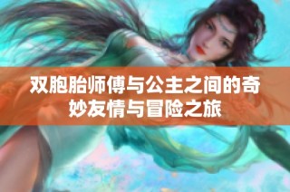 双胞胎师傅与公主之间的奇妙友情与冒险之旅