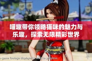 喵趣带你领略猫咪的魅力与乐趣，探索无限精彩世界