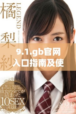 9.1.gb官网入口指南及使用技巧详解