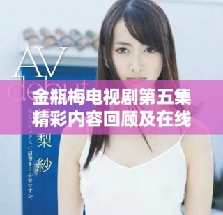 金瓶梅电视剧第五集精彩内容回顾及在线观看指南