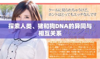 探索人类、猪和狗DNA的异同与相互关系