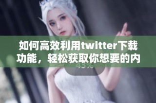 如何高效利用twitter下载功能，轻松获取你想要的内容