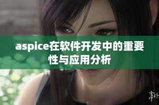 aspice在软件开发中的重要性与应用分析