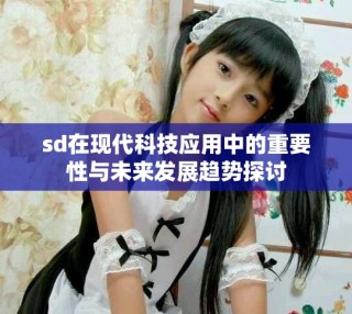 sd在现代科技应用中的重要性与未来发展趋势探讨