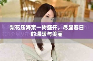 梨花压海棠一树盛开，尽显春日的温暖与美丽