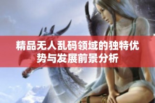 精品无人乱码领域的独特优势与发展前景分析