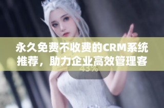 永久免费不收费的CRM系统推荐，助力企业高效管理客户关系