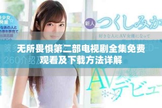 无所畏惧第二部电视剧全集免费观看及下载方法详解