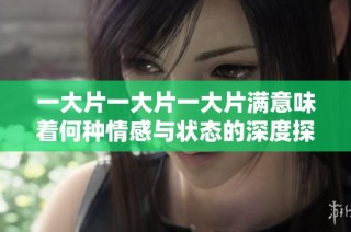 一大片一大片一大片满意味着何种情感与状态的深度探讨