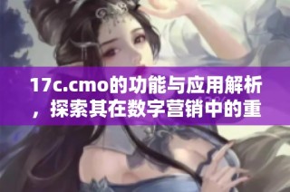 17c.cmo的功能与应用解析，探索其在数字营销中的重要性