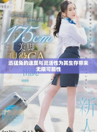 迅猛兔的速度与灵活性为其生存带来无限可能性