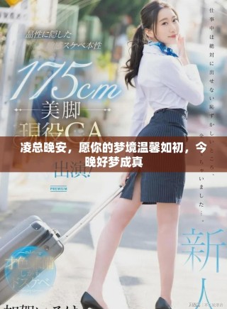 凌总晚安，愿你的梦境温馨如初，今晚好梦成真