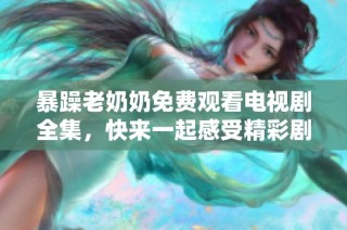 暴躁老奶奶免费观看电视剧全集，快来一起感受精彩剧情！