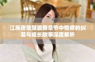 江辰唐楚楚最新章节中情感的纠葛与成长故事深度解析