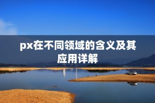 px在不同领域的含义及其应用详解