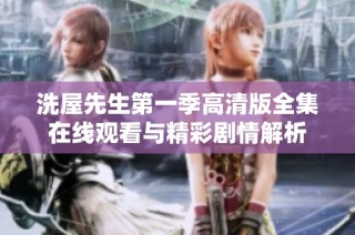洗屋先生第一季高清版全集在线观看与精彩剧情解析