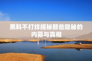 黑料不打烊揭秘那些隐秘的内幕与真相