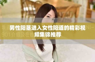 男性阳茎进入女性阳道的精彩视频集锦推荐