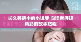 长久等待中的小说梦 向读者展现精彩的故事旅程