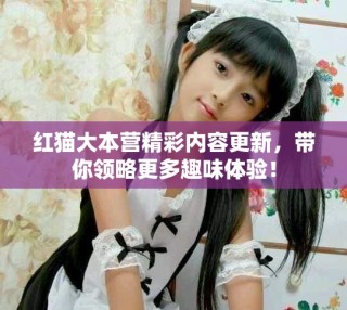 红猫大本营精彩内容更新，带你领略更多趣味体验！