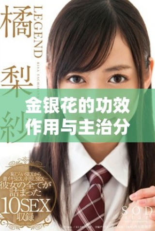 金银花的功效作用与主治分析及其应用价值探讨