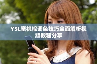 YSL蜜桃棕调色技巧全面解析视频教程分享