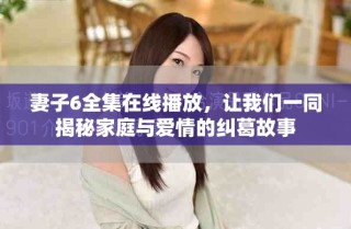 妻子6全集在线播放，让我们一同揭秘家庭与爱情的纠葛故事