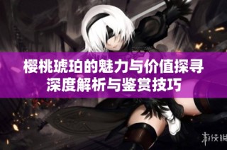 樱桃琥珀的魅力与价值探寻深度解析与鉴赏技巧