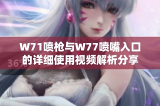 W71喷枪与W77喷嘴入口的详细使用视频解析分享