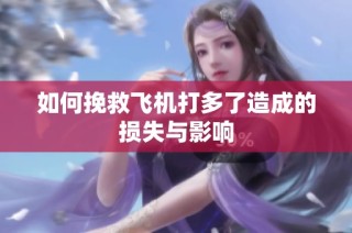 如何挽救飞机打多了造成的损失与影响