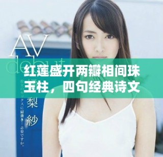 红莲盛开两瓣相间珠玉柱，四句经典诗文展现华美情怀