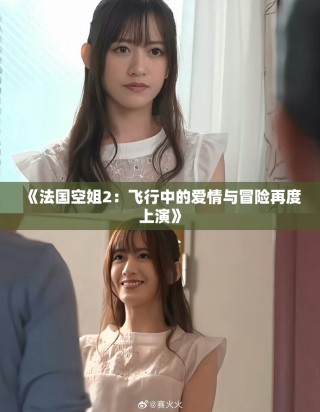 《法国空姐2：飞行中的爱情与冒险再度上演》