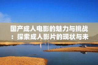 国产成人电影的魅力与挑战：探索成人影片的现状与未来