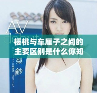 樱桃与车厘子之间的主要区别是什么你知道吗