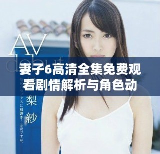 妻子6高清全集免费观看剧情解析与角色动态全景展现