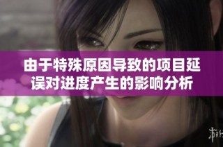 由于特殊原因导致的项目延误对进度产生的影响分析