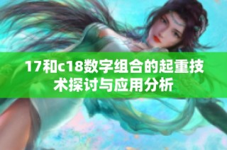 17和c18数字组合的起重技术探讨与应用分析