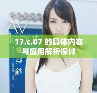 17.c.07 的具体内容与应用解析探讨