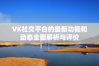 VK社交平台的最新功能和动态全面解析与评价