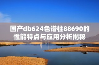 国产db624色谱柱88690的性能特点与应用分析揭秘