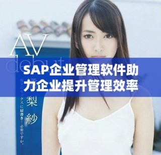 SAP企业管理软件助力企业提升管理效率与决策能力
