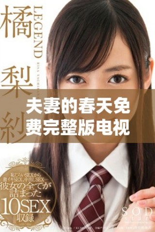夫妻的春天免费完整版电视剧精彩剧情揭秘与角色分析