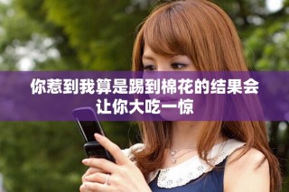 你惹到我算是踢到棉花的结果会让你大吃一惊