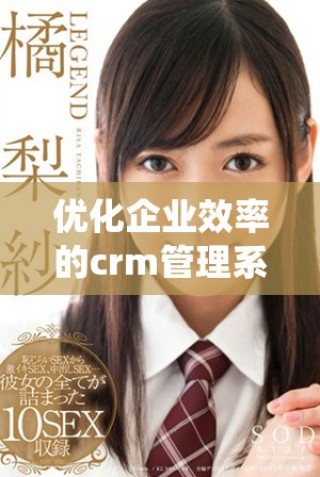 优化企业效率的crm管理系统全面升级与应用解析