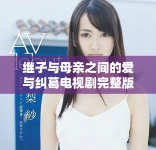 继子与母亲之间的爱与纠葛电视剧完整版精彩重现