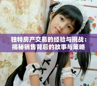 独特房产交易的经验与挑战：揭秘销售背后的故事与策略